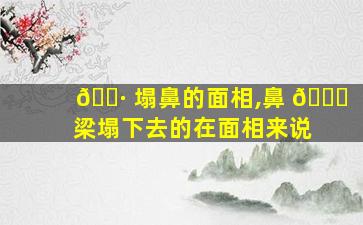 🌷 塌鼻的面相,鼻 🍁 梁塌下去的在面相来说